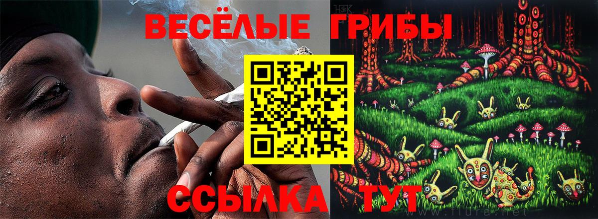 Галлюциногенные грибы Psilocybine cubensis Похвистнево