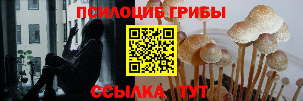 Похвистнево  Псилоцибиновые грибы ЛСД  Вход с VPN  Псилоцибиновые грибы прущие грибы 